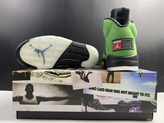 Rep Oregon 5 CK6631-307 SE Ducks Jordan Air 0716